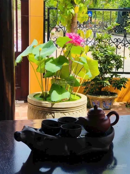 Bán nhà sân vườn kiểu cổ điển đường vân đài nữ sĩ, ngũ hành sơn