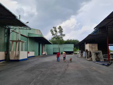 Cần bán xưởng hơn 13000m2, ngang hơn 100m đường nhựa có thu nhập sẵn 400tr/tháng tại bến cát