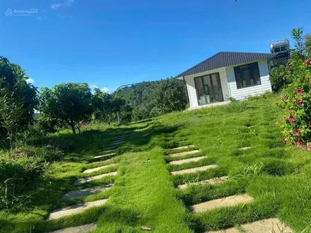 7895m2 mặt tiền dài 136m nhà vườn nghỉ dưỡng + vườn sầu riêng lớn tại tân lạc chỉ 5 tỉ