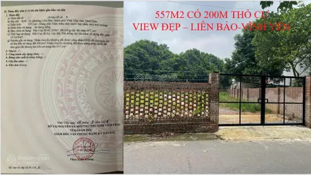 Siêu phẩm đất nền 557m vị trí vàng tại liên bảo, vĩnh yên giá chỉ 8,1 tỷ