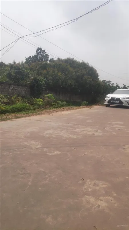 Bán đất trù hựu, phường chũ bắc ninh, gía đầu tư 800 triệu, 300m2 0982 188 ***