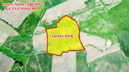 Cần bán gấp 1,6ha đất bằng hnk hạ giá chỉ còn 700tr xử lý gấp công việc tại thôn nông trường