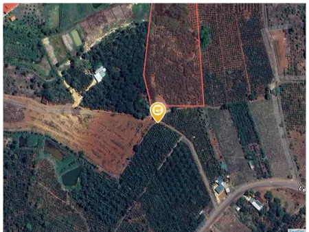 Bán đất 10000m² ngang 100m giá 2.7 tỷ tại Xã Đắk Nia Thị xã Gia Nghĩa