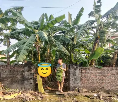 Đất đẹp! nhỉnh 1tr/400m2 ngay khu đấu giá tân dân, trục chính đường 2 ô tô tránh, 0961 532 ***