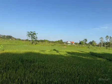 Bán đất tại tân phương, thanh thủy, phú thọ, giá tốt 730 triệu, 106m2
