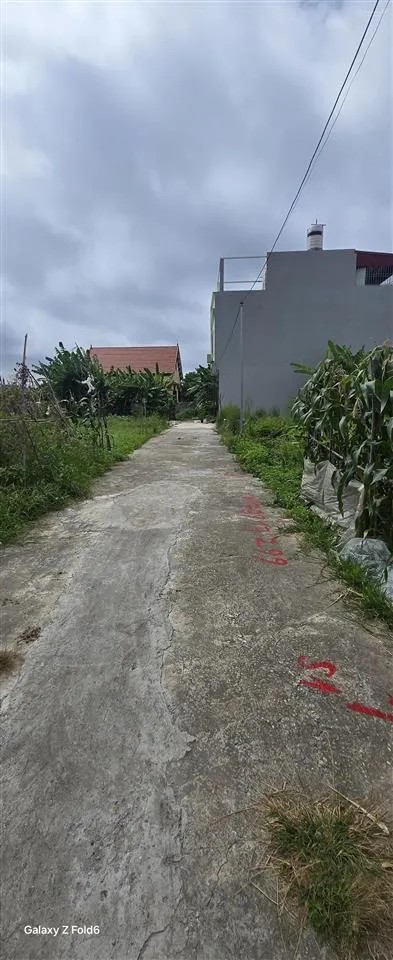 Bán đất lô liền kề sau ubdd phường bằng la đồ sơn hải phòng bán kính 200m full tiện ích oto đỗ