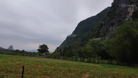 Bán 5018m2 đất đầu tư ngay cạnh dự án sun group, serena resort tại hòa bình, suối khoáng bên cạnh