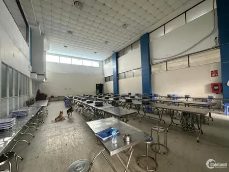 ĐỊNH CƯ BÁN GẤP XƯỞNG GẦN 5000M2 ĐANG HOẠT ĐỘNG NGÀNH MAY MẶC , QUẬN 12 (Tin Hết Hạn)