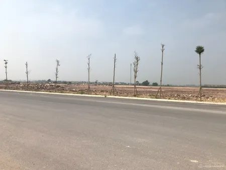 Chuyển nhượng 10.000m2 tại cụm Công nghiệp Hiệp Hòa – Bắc Giang. (Tin Hết Hạn)