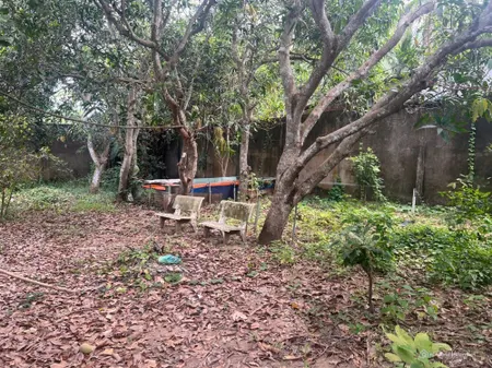 Bán nhà Phường Thanh Đức, Long Hồ, Vĩnh Long