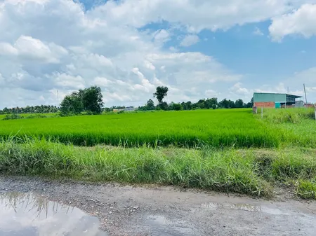 bán hơn 600m2 đất sát KDC Phú Sinh đường đá xanh 7m giá 2 tỷ 3 thương lượng (Tin Hết Hạn)