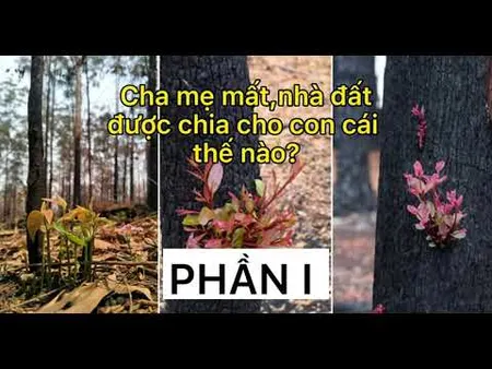 Bán đất trung tâm Cam Đức Cam Lâm Khánh Hòa mặt tiền đường Trần Quý Cáp giá rẻ. (Tin Hết Hạn)