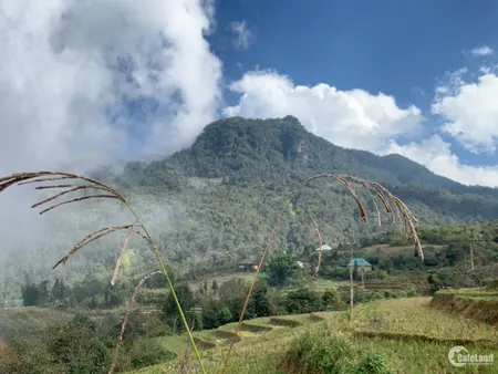 Bán mảnh Y Tý đất view săn mây siêu đẹp, gần trung tâm xã mới thích hợp đầu tư (Tin Hết Hạn)