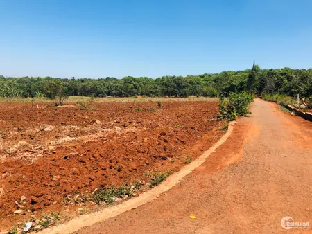 1497 m2 đất ONT, 2 mặt tiền, trong khu dân cư, SHR (Tin Hết Hạn)