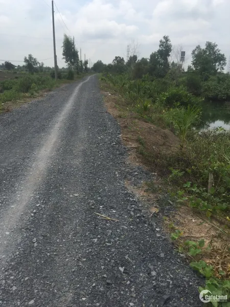 5091m2 đất vườn (40x125m) MT Kệnh Biện Cung, Ấp 2 Bình Đức Giá 3,25 tỷ (Tin Hết Hạn)