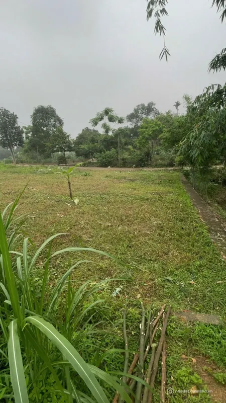 HOT. Bán mảnh đất 100m tại Phúc Trìu - Thái Nguyên cách SVD mới chỉ 1km (Tin Hết Hạn)