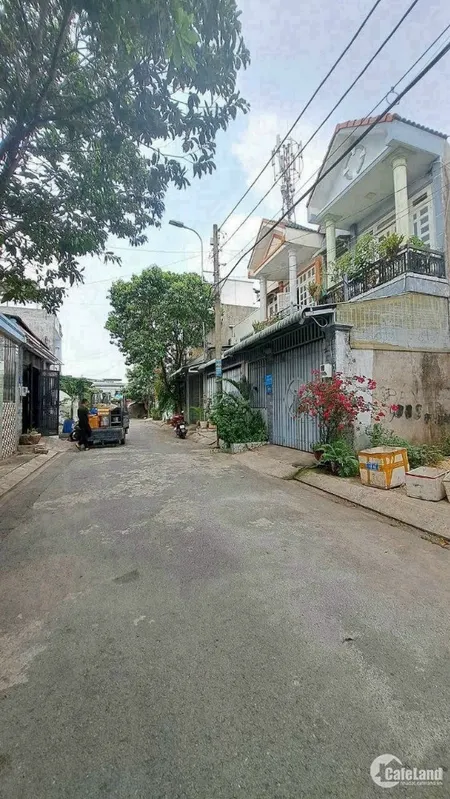 cần bán gấp 80m {5m x16m}đất SHR, đường Thới Tam Thôn 7, Thới Tam Thôn, Hóc Môn (Tin Hết Hạn)