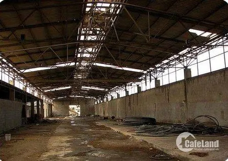 CẦN BÁN GẤP NHÀ XƯỞNG GẦN QL50, CẦN GIUỘC, 990M2, 3.22 TỶ (Tin Hết Hạn)