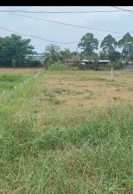 Bán đất vườn Bình Chánh 381m2 mặt tiền nhựa 8m sổ hồng riêng (Tin Hết Hạn)