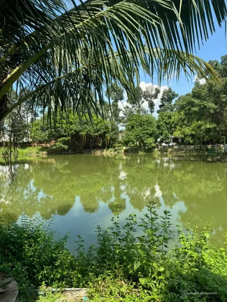 Bán 2,2 ha đất TMDV ngay Tân Cảng, Phước Tân, Biên Hòa, Đồng Nai diện tích 22000 (Tin Hết Hạn)