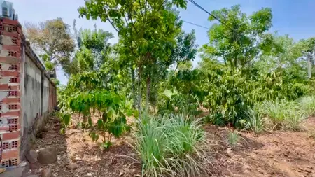 1400m2 đất nghỉ mát tại Lâm Hà (Tin Hết Hạn)