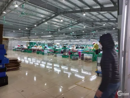 CHUYỂN NHƯỢNG TOÀN BỘ NHÀ XƯỞNG tại Tỉnh NAM ĐỊNH (Tin Hết Hạn)