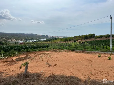 Chính chủ bán đất view hồ Bàu Sen trong khu dân cư Hoà Thắng (Tin Hết Hạn)