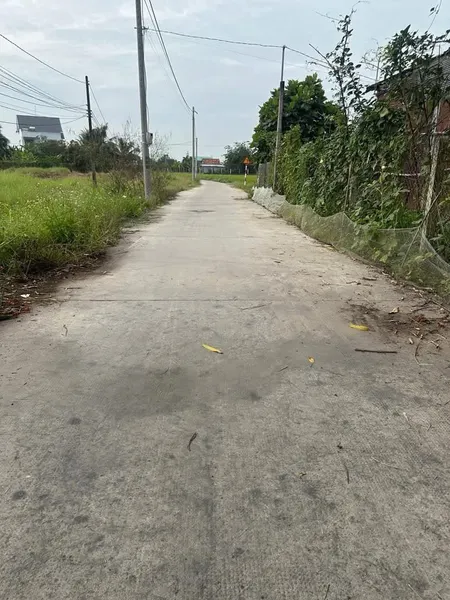 bán lô đất cực đẹp đường bê tông cách nhựa TL9 vào 150m, 10x30m full thổ (Tin Hết Hạn)