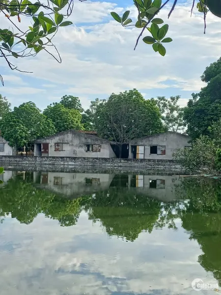 CẦN CHUYỂN NHƯỢNG TRANG TRẠI 26000M2 TẠI PHÚ XUYÊN – HN (Tin Hết Hạn)