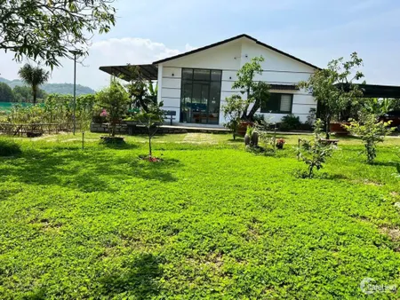 Cần bán trang trại 6000m2, chìa khoá trao tay mô hình VAC-P(vườn ao chuồng kết (Tin Hết Hạn)