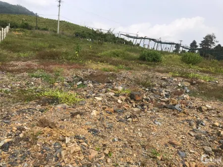 ngang 8-12m ,dài 76-107m có thổ cư 286m2 1tr4/1m2 (Tin Hết Hạn)