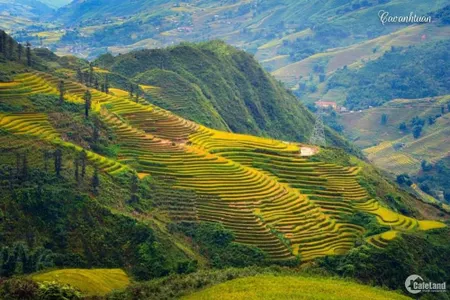 đất nền nghỉ dưỡng tả phìn ,quy hoạch phát triển sapa mở rộng,đầu tư là tăng trư (Tin Hết Hạn)
