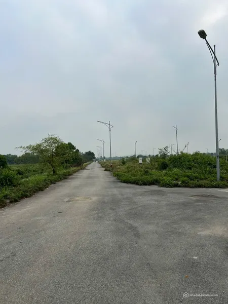 110m dịch vụ đồng trà phú nghĩa sẵn sổ giá tốt giáp đường lê văn lương (Tin Hết Hạn)