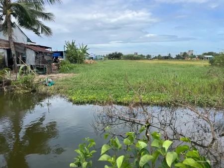 Bán nhanh 4,2 công đất vườn giá 1,1 tỷ, gần nhựa HL07 Tân Thành,Gò Công Đông, TG (Tin Hết Hạn)