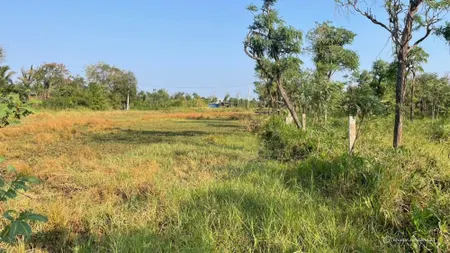 2000m2 đất nền, có tới 500m2 thổ tại P.Long Hòa, TP Gò Công, Tiền Giang (Tin Hết Hạn)