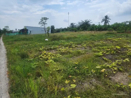 175 triệu có ngay lô đất (5x30) tại Tân Xuân, Phước Trung, Gò Công Đông, TG (Tin Hết Hạn)