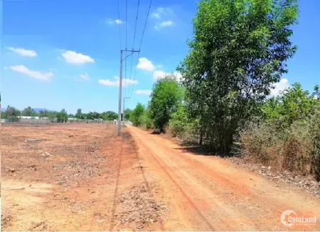 BÁN ĐẤT NỀN PHƯỚC, LONG THÀNH , ĐỒNG NAI (Tin Hết Hạn)