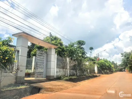 Chính chủ cần bán 1 sào đất vườn, SHR, giá rẻ tại Định Quán, liên hệ 0904638983 (Tin Hết Hạn)