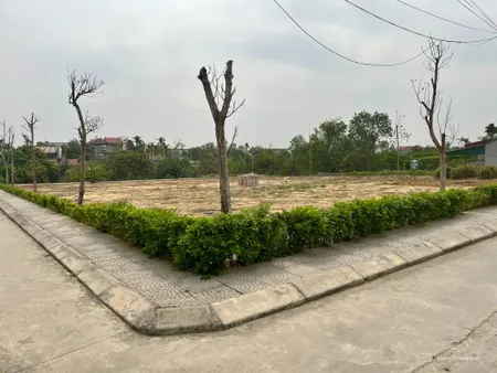 Cơ hội sở hữu đất vị trí cực đẹp, pháp lý rõ ràng tại Đông Triều chỉ với 6xxtr (Tin Hết Hạn)