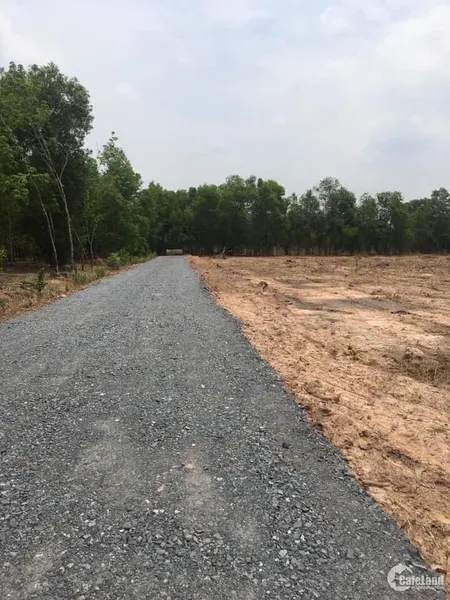 đất nền giá rẻ bình long,giá chỉ 440tr/1000m2 (Tin Hết Hạn)