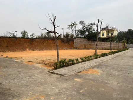 Shock! Đất vàng trao tay nhận ngay ưu đãi chỉ với 6xxtr tại Đông Triều (Tin Hết Hạn)