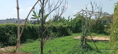 Khu dân cư Bình Mỹ ô tô thông, 10x12,5m xây ở ngay. 750tr (Tin Hết Hạn)