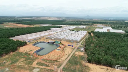 Sở hữu ngay Đất sổ đỏ giá Chỉ từ 50 Ngàn/m2 tại khu du lịch Bình Thuận (Tin Hết Hạn)