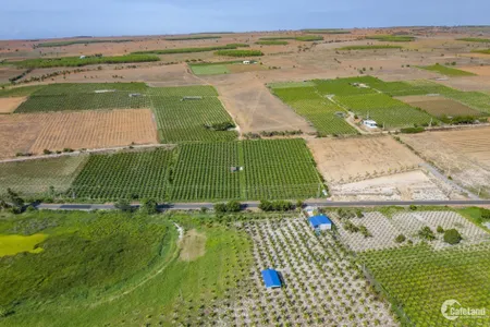 Sở Hữu 3000m2 Đât Bắc Bình Farmstay Bình Thuận Chỉ Với 180 Triệu.Lh: (Tin Hết Hạn)