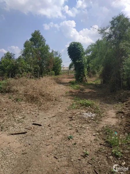 BAN DAT NEN XA LONG PHUOC HUYEN LONG THANH DONG NAI (Tin Hết Hạn)
