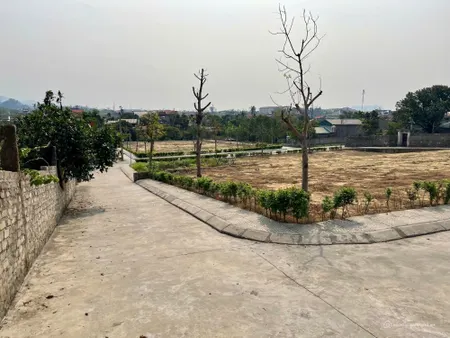 Đừng bỏ lỡ cơ hội sở hữu bất động sản cực hot tại Tp. Đông Triều chỉ 6xxtr (Tin Hết Hạn)