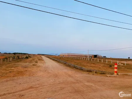 Cần tiền bán gấp lô đất 10.000m2 tại sông lũy, bình thuận (Tin Hết Hạn)