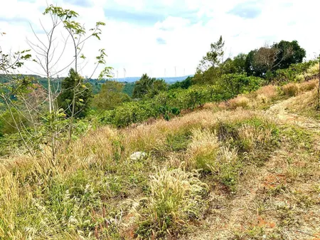 Bán đất 2100m² giá 269 triệu tại Xã Ea Sin Huyện Krông Búk