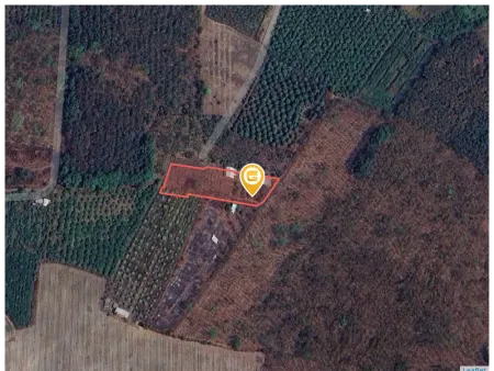 Bán nhà 2784.3m² ngang 26m giá 250 triệu tại Xã Thanh Lương Thị xã Bình Long