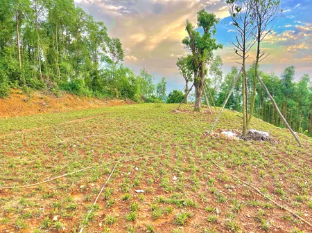 Bán đất 20000m² ngang 130m giá 5 tỷ tại Xã Khám Lạng Huyện Lục Nam